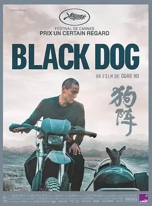 film 7